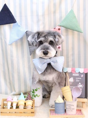 20250527ビッケくん